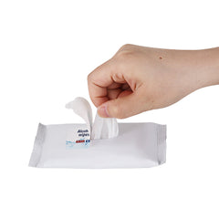 75% Alcohol Wet Wipes - 10PC Pack