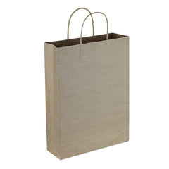 Paper Kraft Trade Show Bag